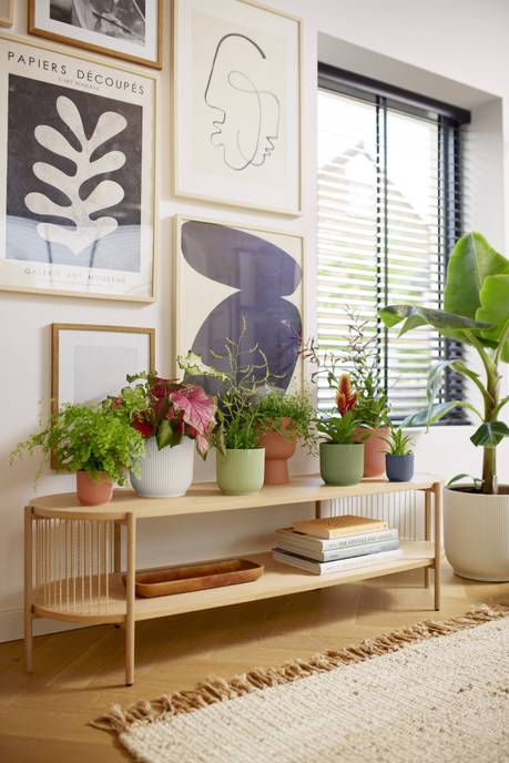 vibes fold rond 35cm varengroen